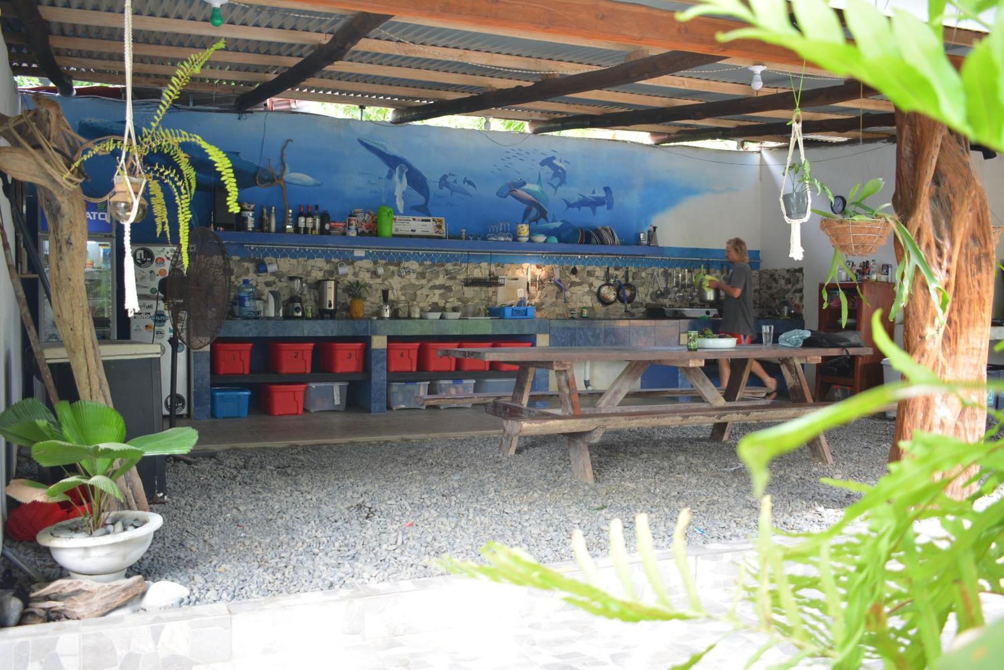 Hotel Swell Pavones Pavones  Extérieur photo